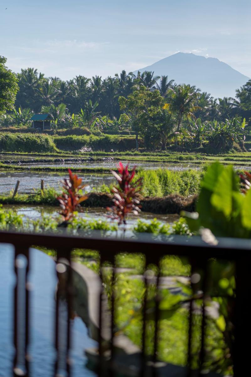 Foto - Beehouse Dijiwa Ubud