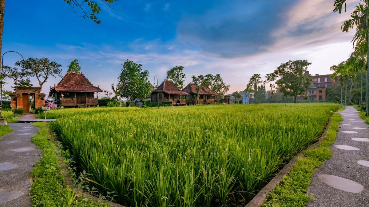 Photo - KajaNe Yangloni at Ubud Bali