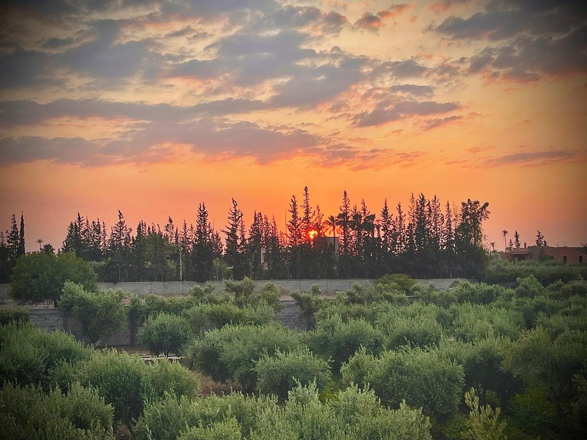 Foto - The Olives Sanctuary