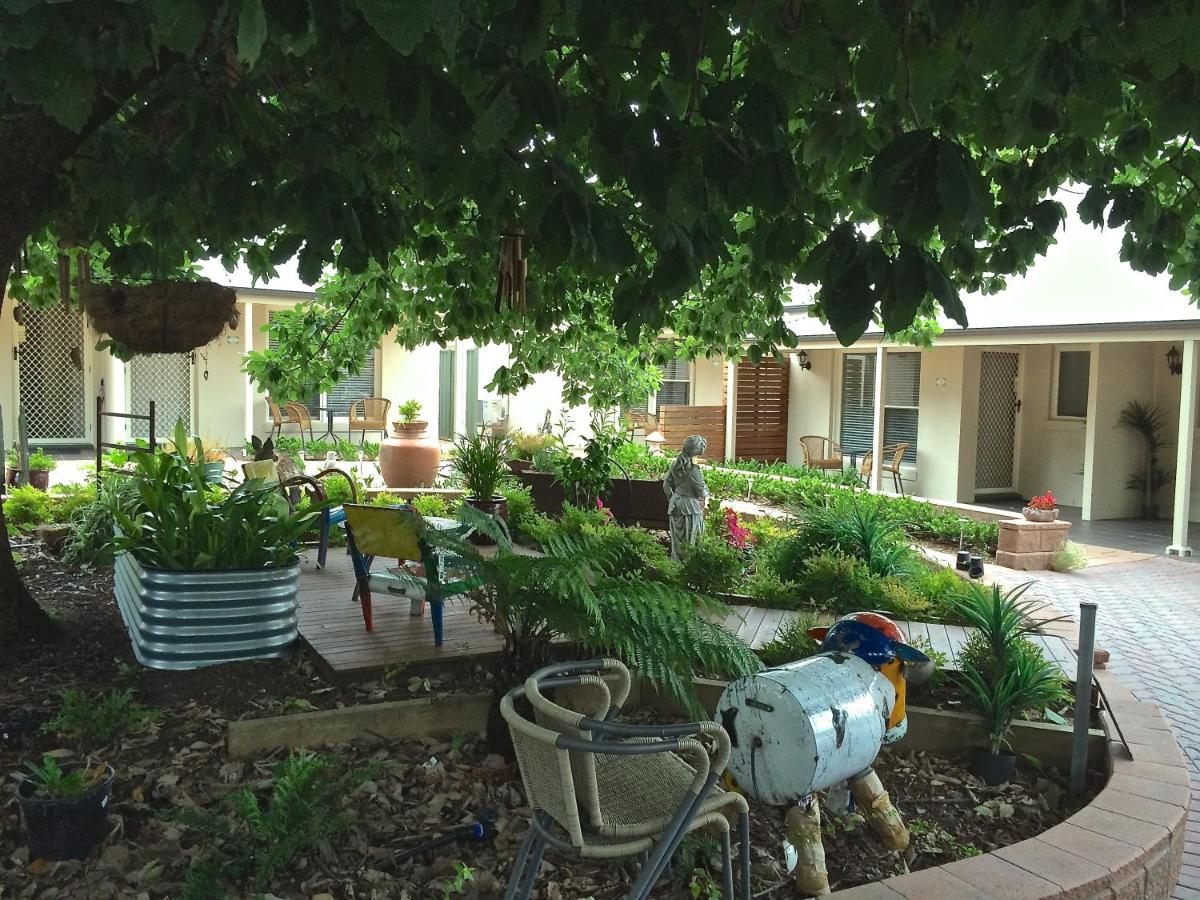 Foto - Hahndorf Oak Tree Cottages