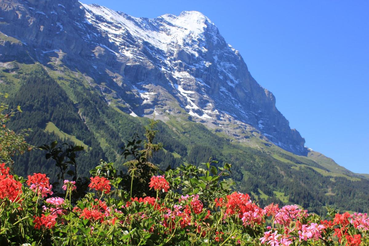 Foto - Alpenhof