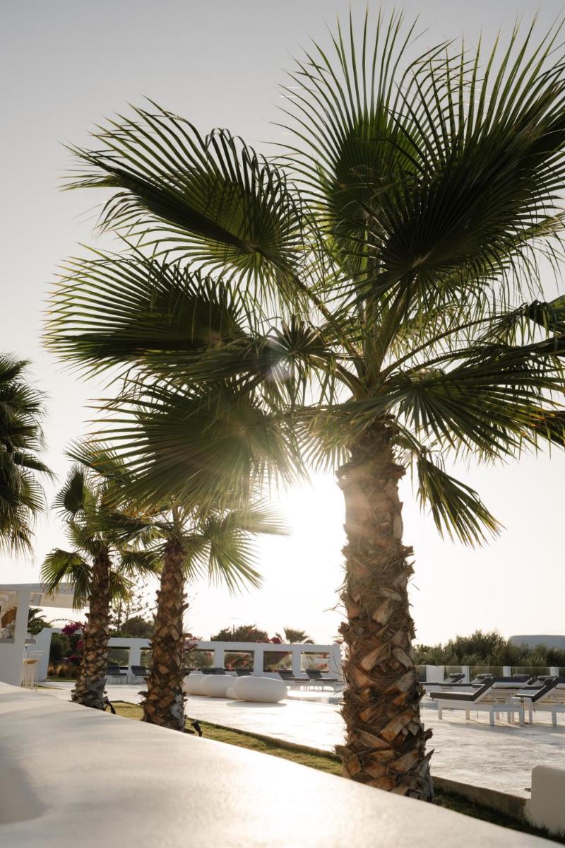 White Dunes Luxury Boutique Hotel photo 5