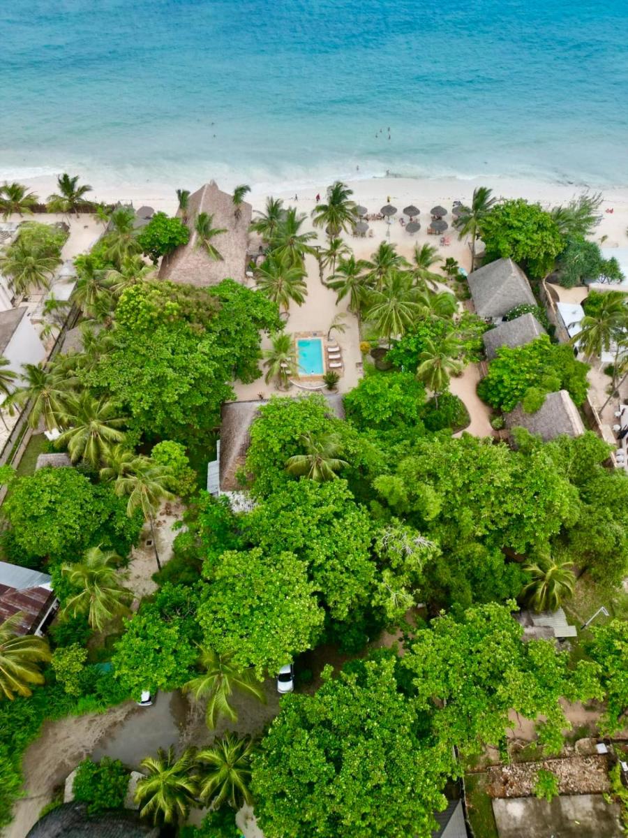 Mambo Ocean Resort photo 7