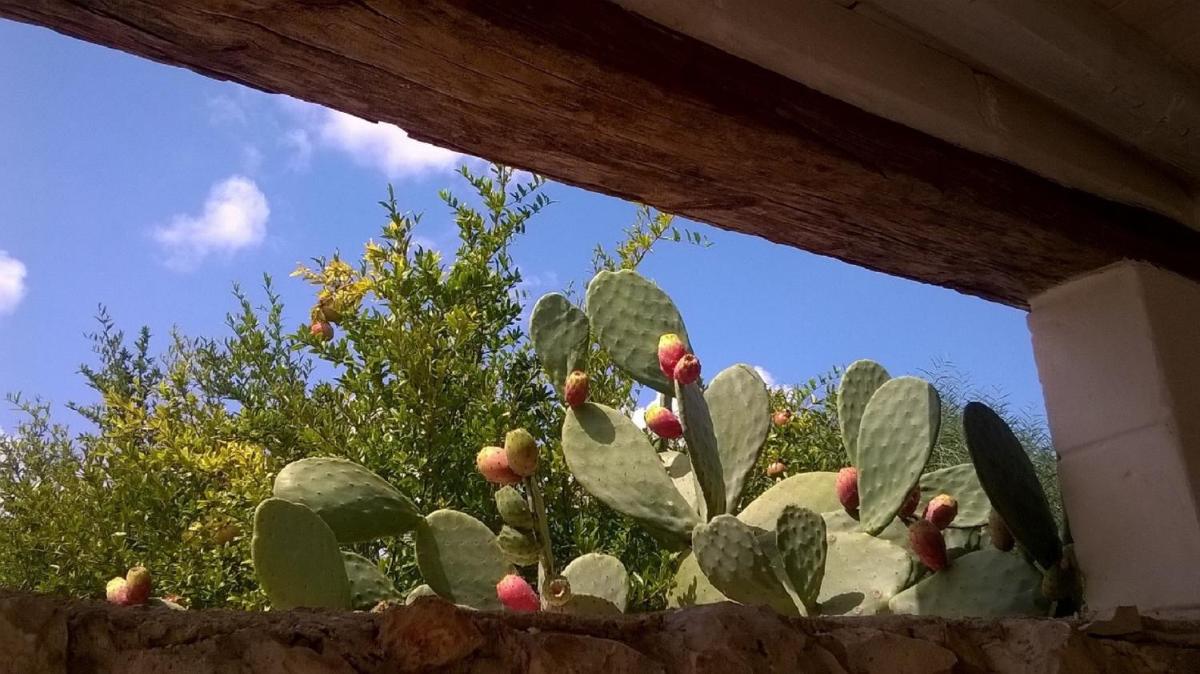 Photo - Trulli Aurasia