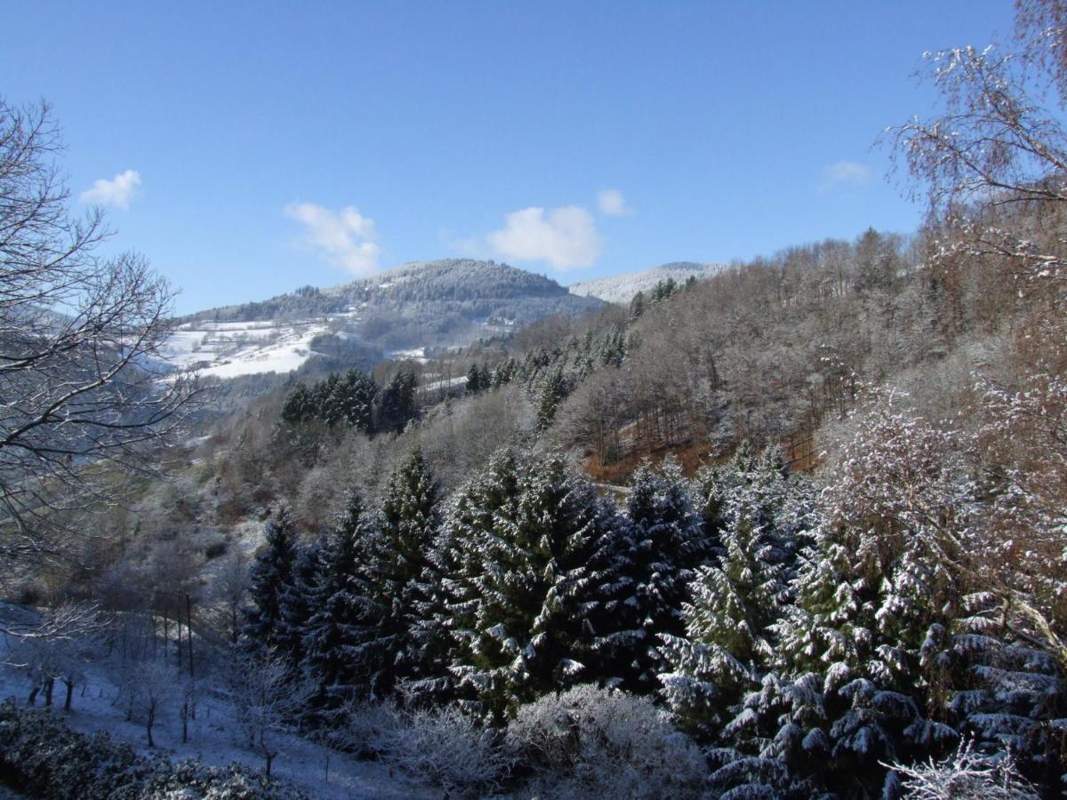 Photo - La Haute Grange Gîtes de Charme en Alsace