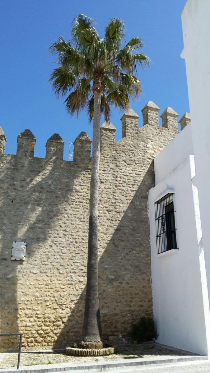 Foto - Puro Vejer