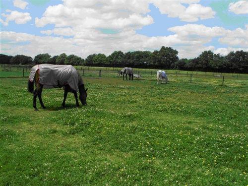 Foto - The Stables - Deer Park Farm