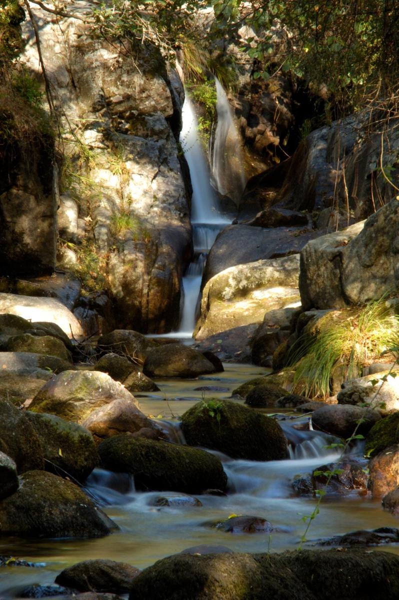 Photo - Reserva Casas Rurales Acebuche, Naturaleza, Relax y Tradición