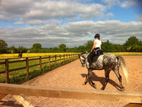 Foto - The Stables - Deer Park Farm