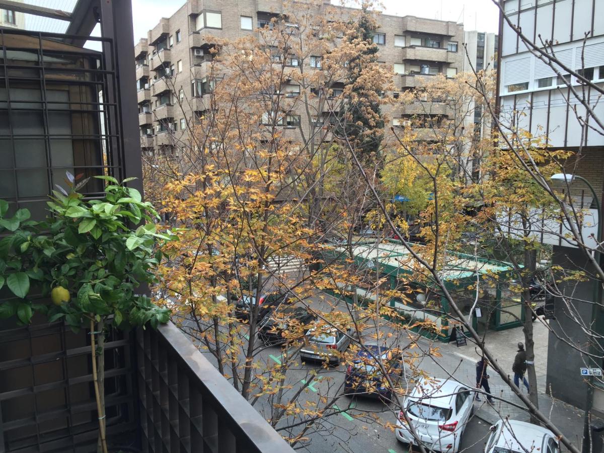 Photo - Terraza de Salamanca