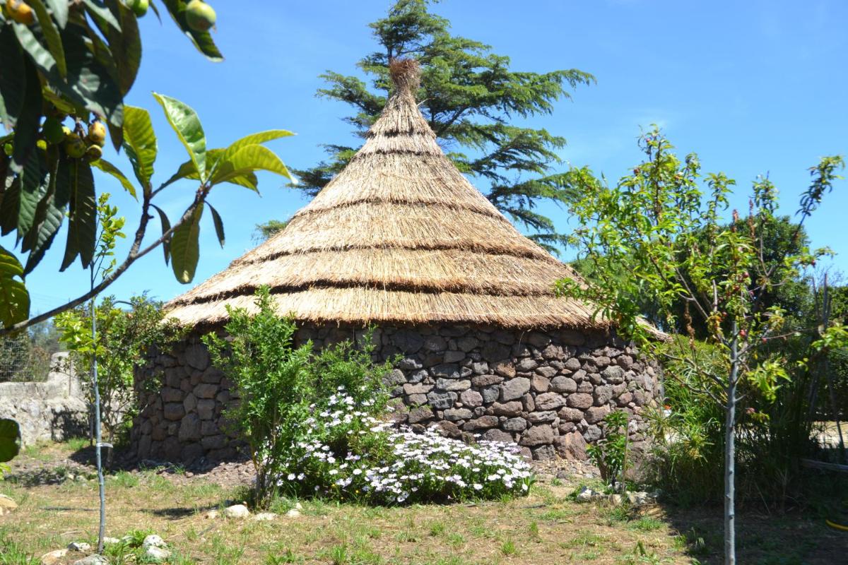 Foto - B&B Antica Botte Sassari