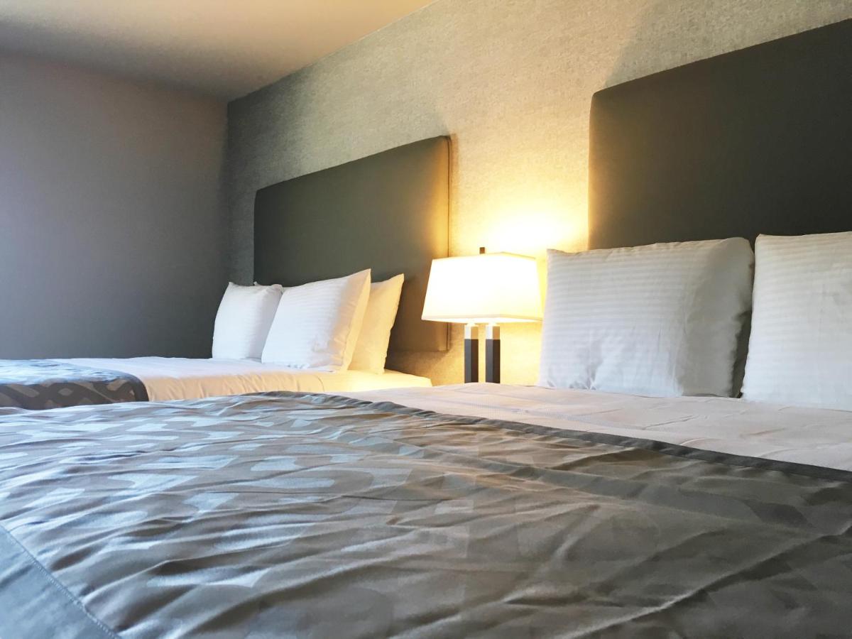 Foto - Arden Star Hotel