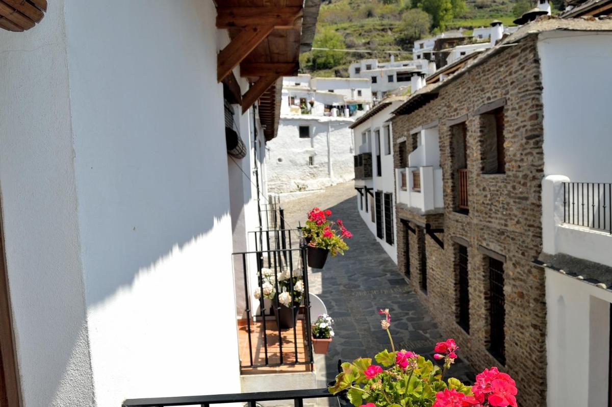 Foto - Hotel Rural Alfajía de Antonio