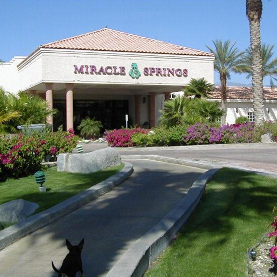 Foto - Miracle Springs Resort and Spa