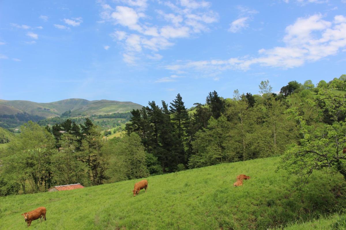 Photo - La Cabaña del Abuelo de Selaya