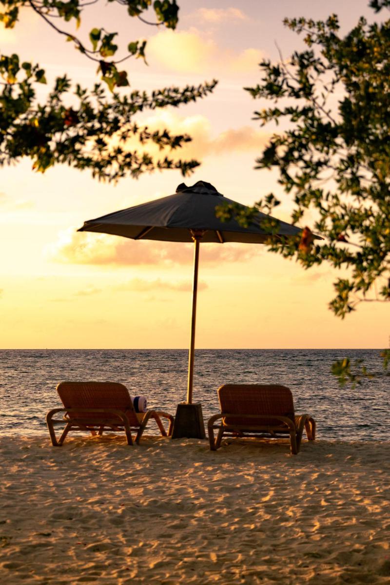 Cocomo Maldives photo 10