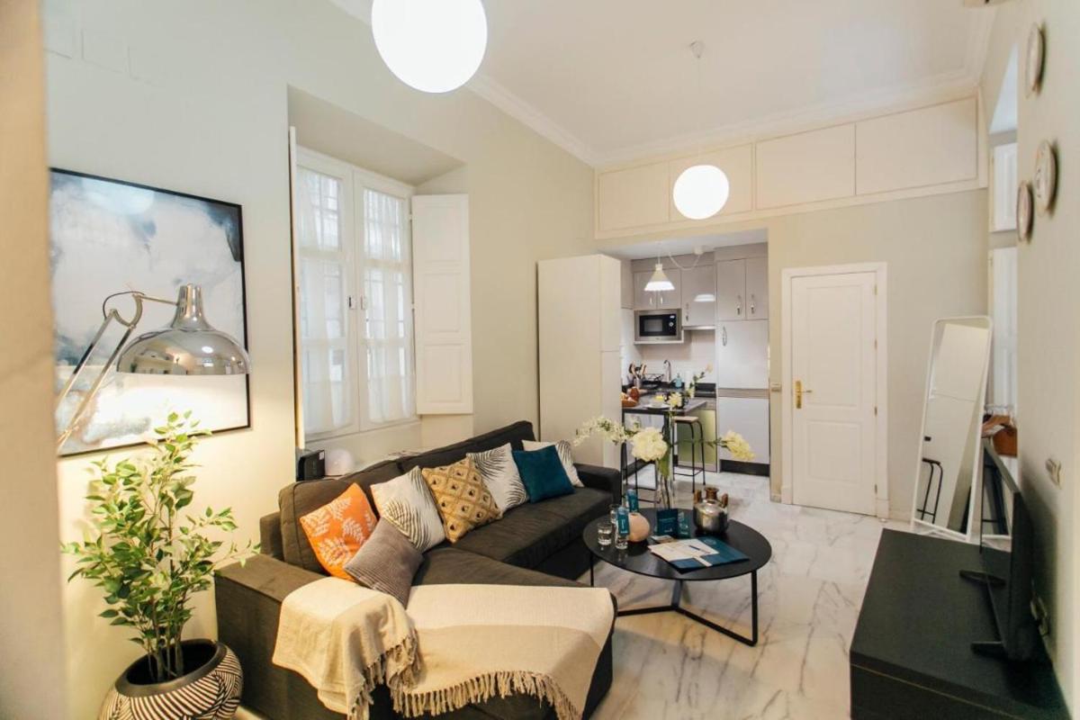 Exclusive duplex- 1Bd 1Bth- Cathedral of Seville photo 3