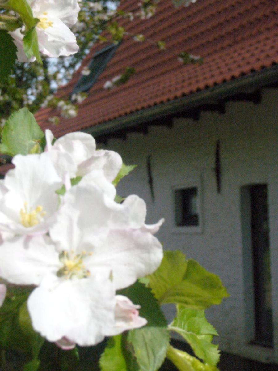 Foto - La Ferme Blanche, The Originals Relais (Relais du Silence)