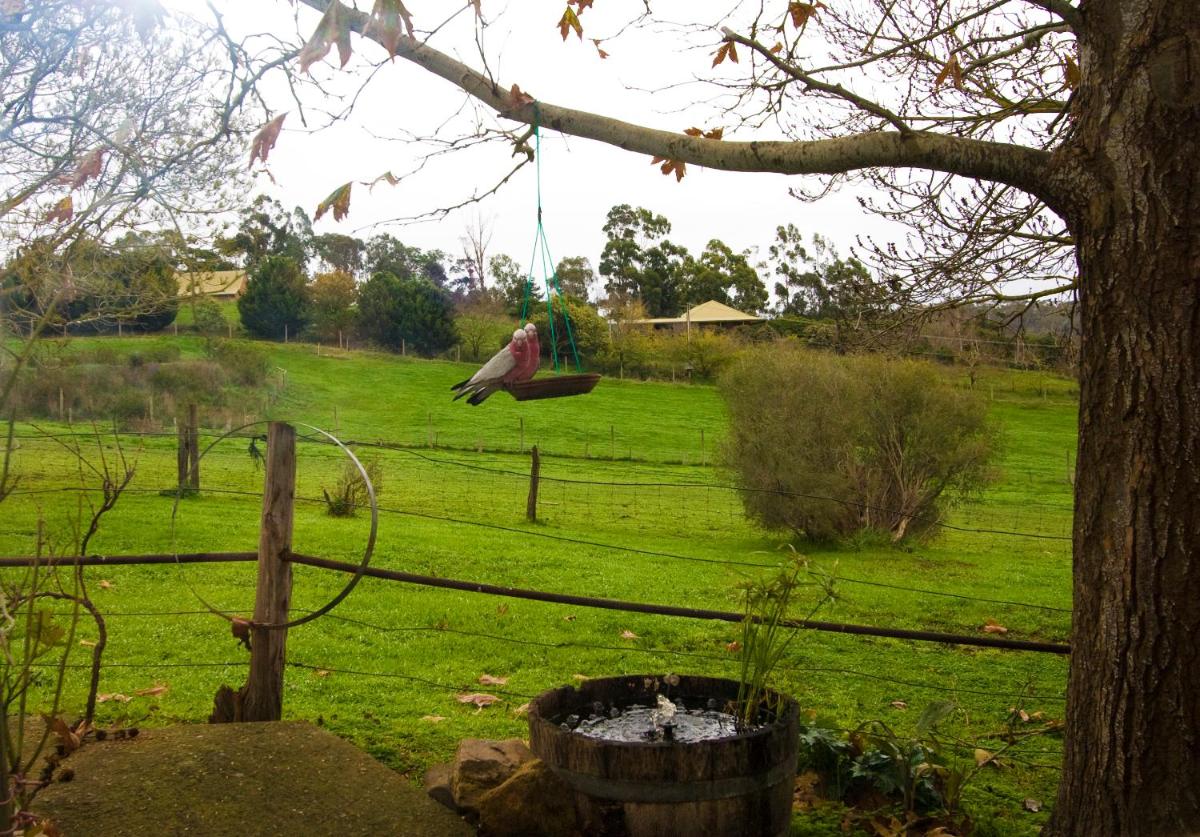 Photo - Amble at Hahndorf