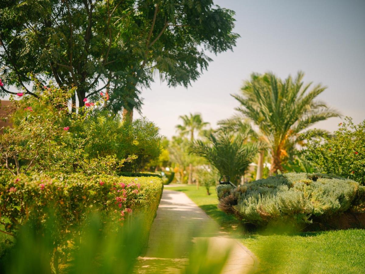 Be Live Collection Marrakech Adults Only All inclusive photo 9