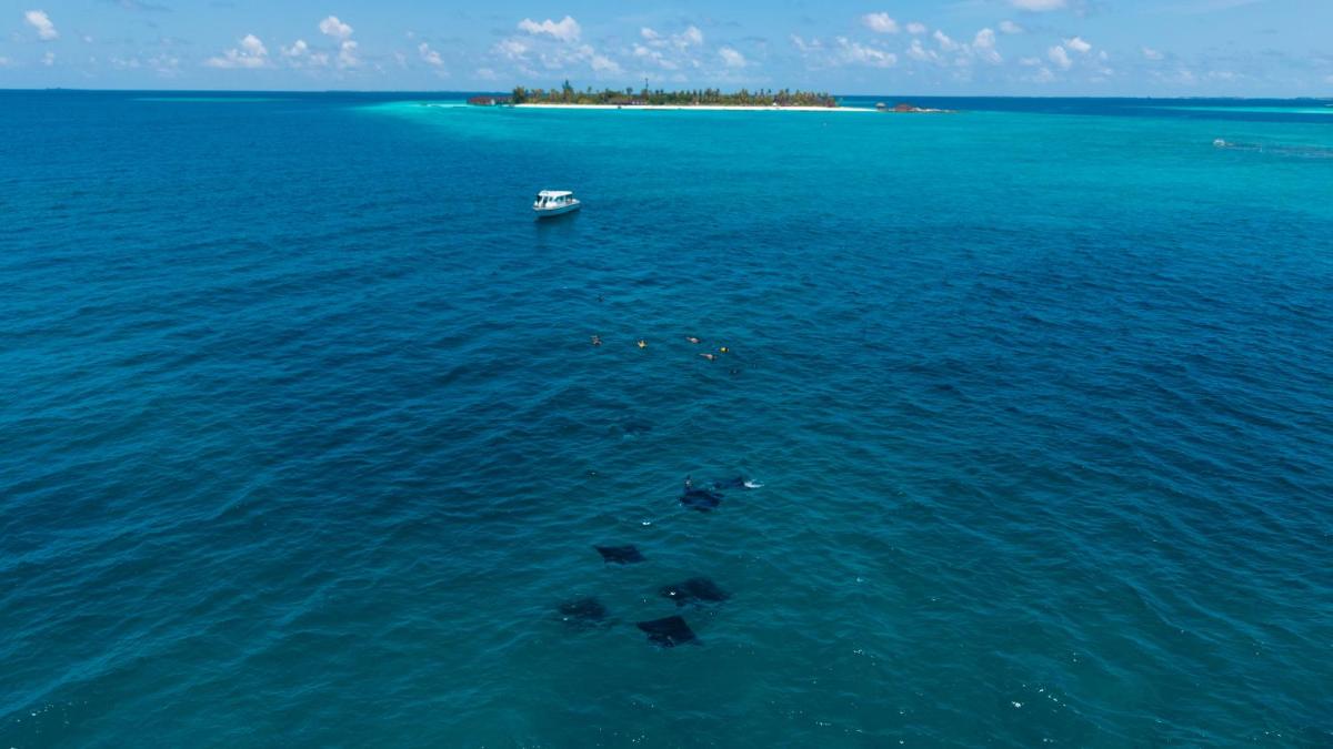 Fushifaru Maldives photo 9