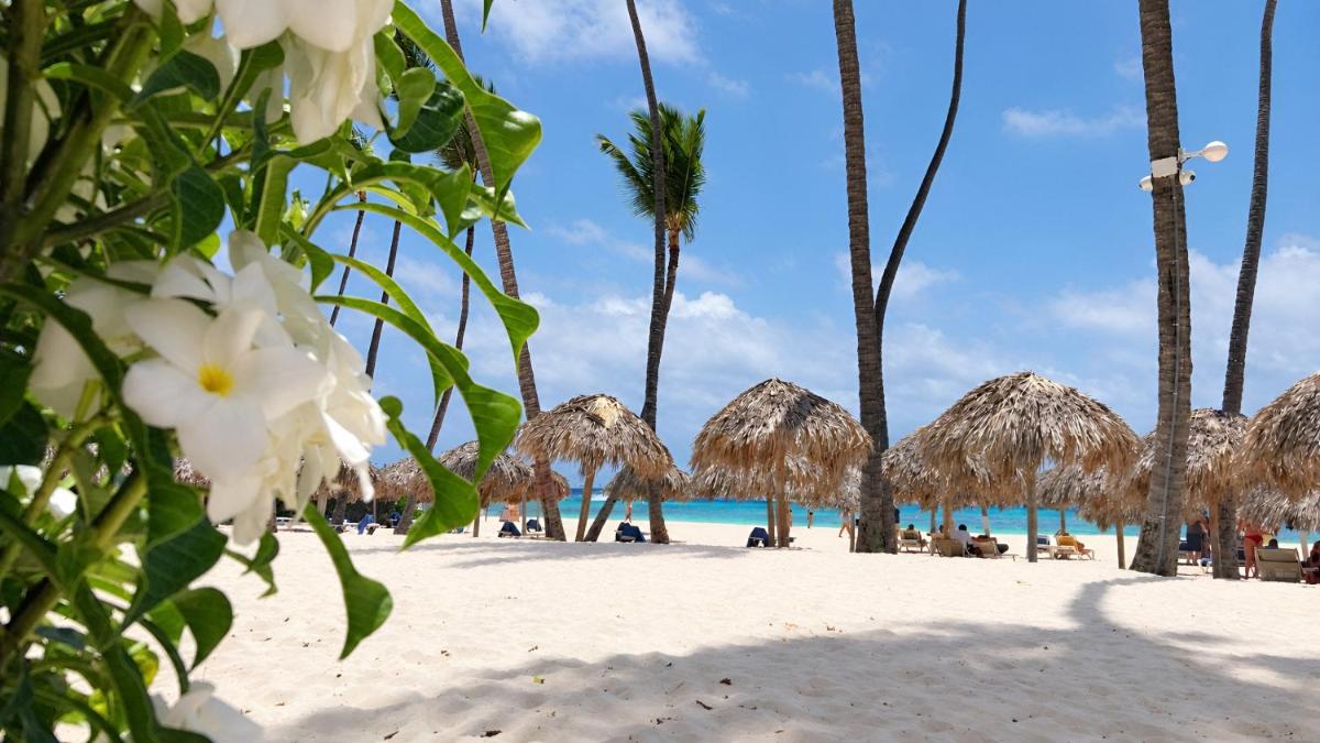 Palapa Tropic Beach Punta Cana photo 3