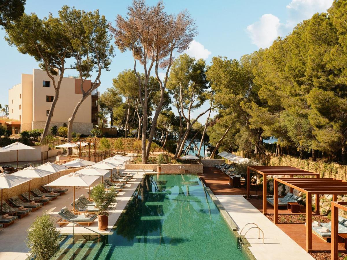 Mandarin Oriental Punta Negra, Mallorca photo 3
