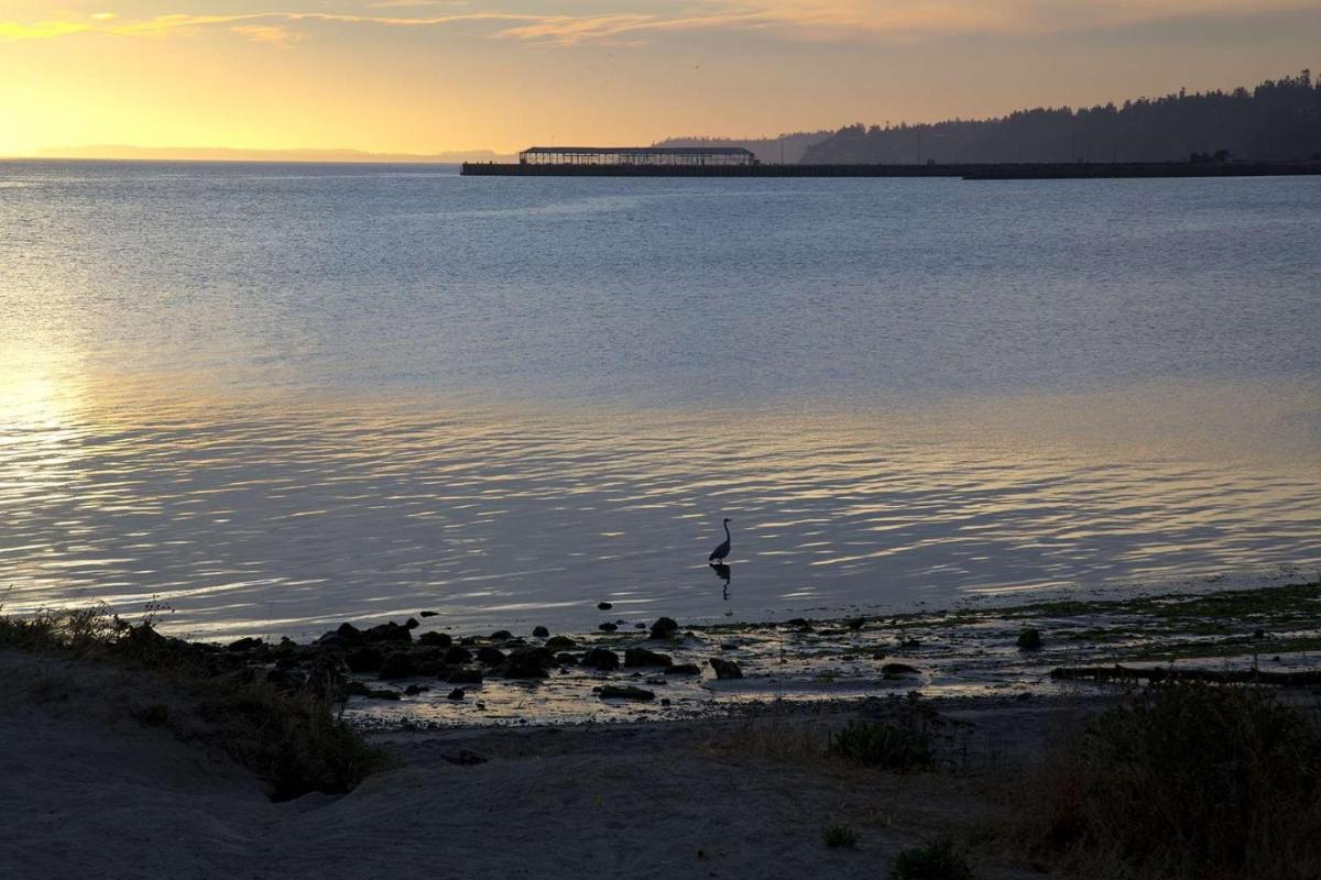 Photo - Red Lion Hotel Port Angeles Harbor