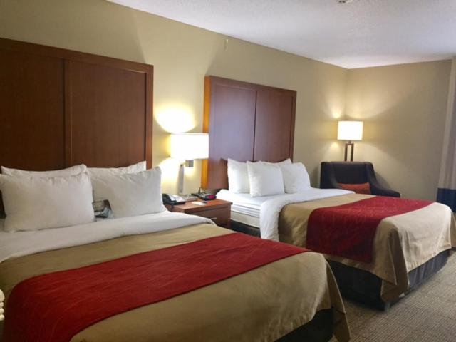 Foto - Comfort Inn & Suites Airport-American Way Memphis