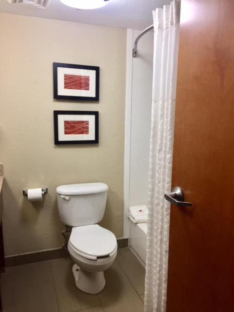 Foto - Comfort Inn & Suites Airport-American Way Memphis