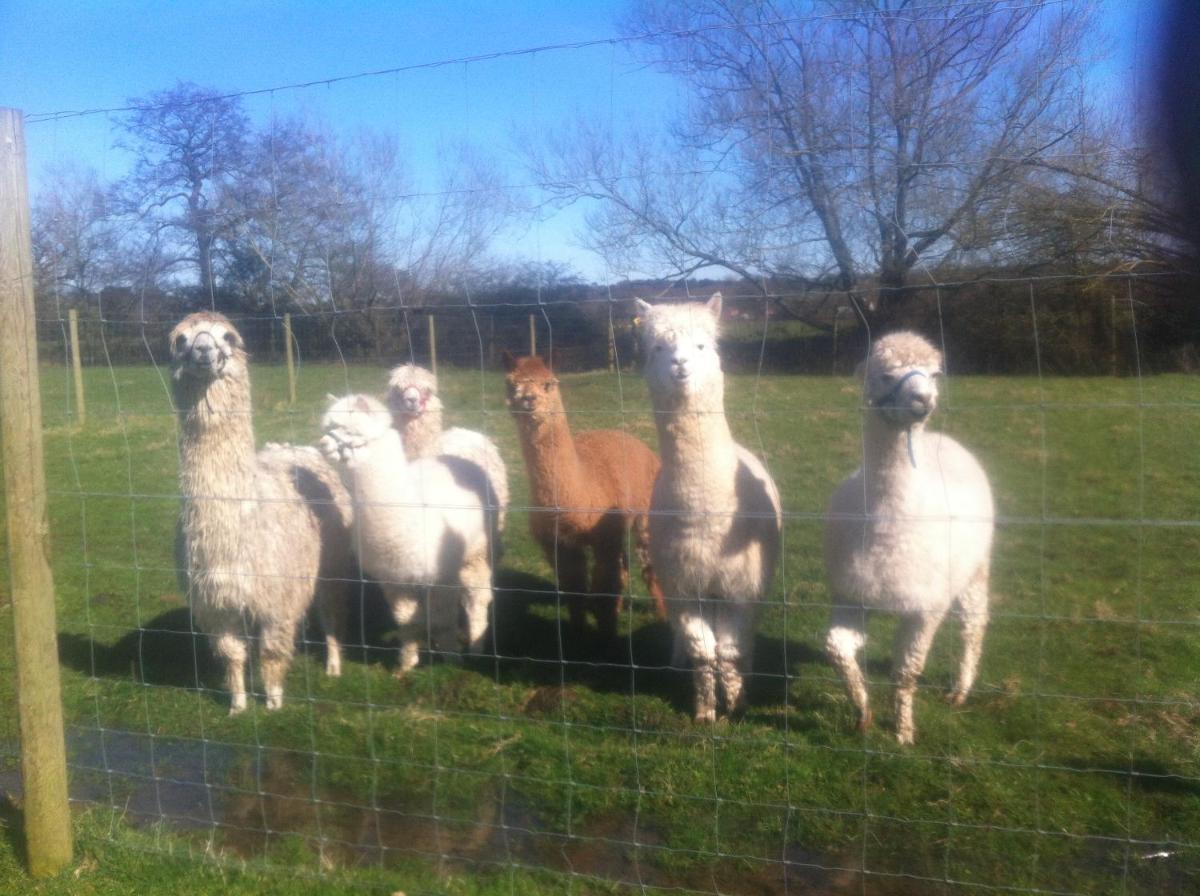 Foto - The Stables - Deer Park Farm