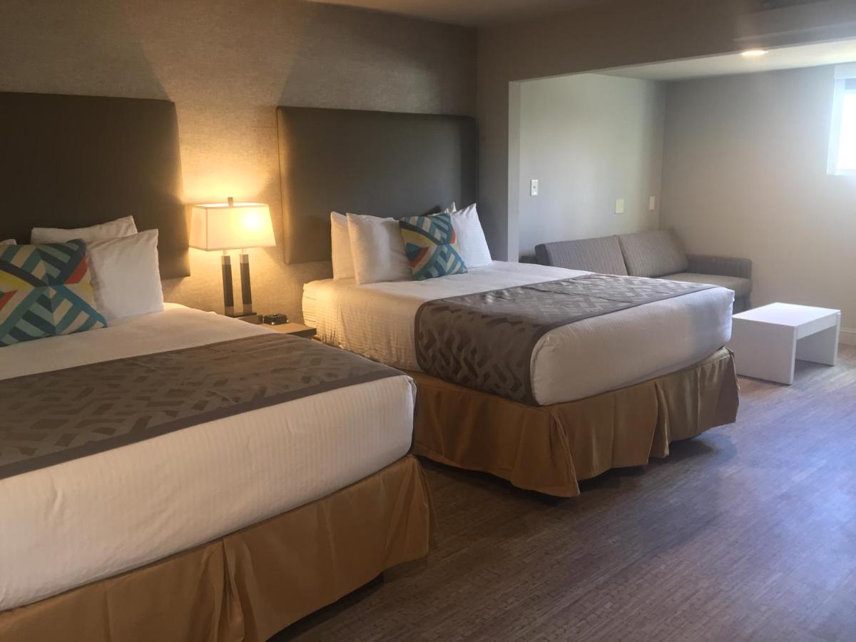 Foto - Arden Star Hotel