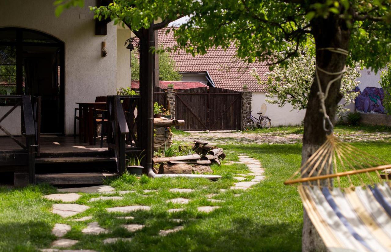 Casa Mosului - Transfăgărășan Bed & Breakfast - 5