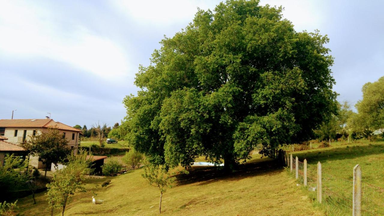 Caserio de Fontes photo 2