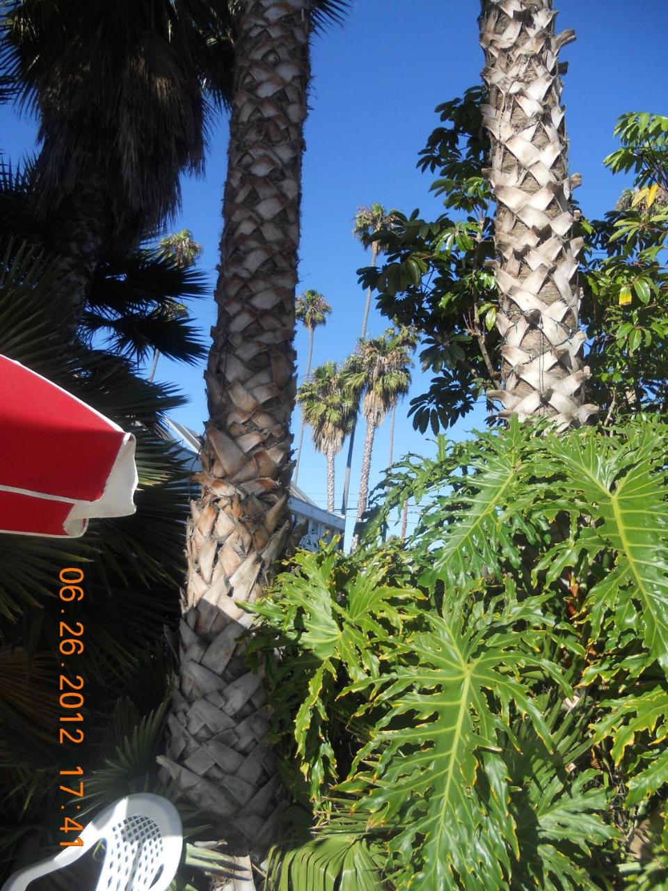 Tradewinds Airport Hotel photo 4