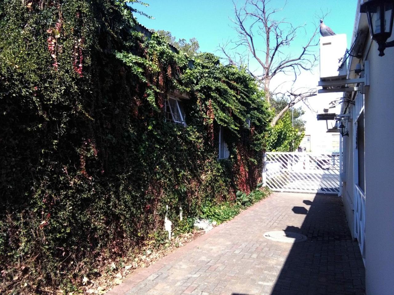 Victorian Lodge photo 2