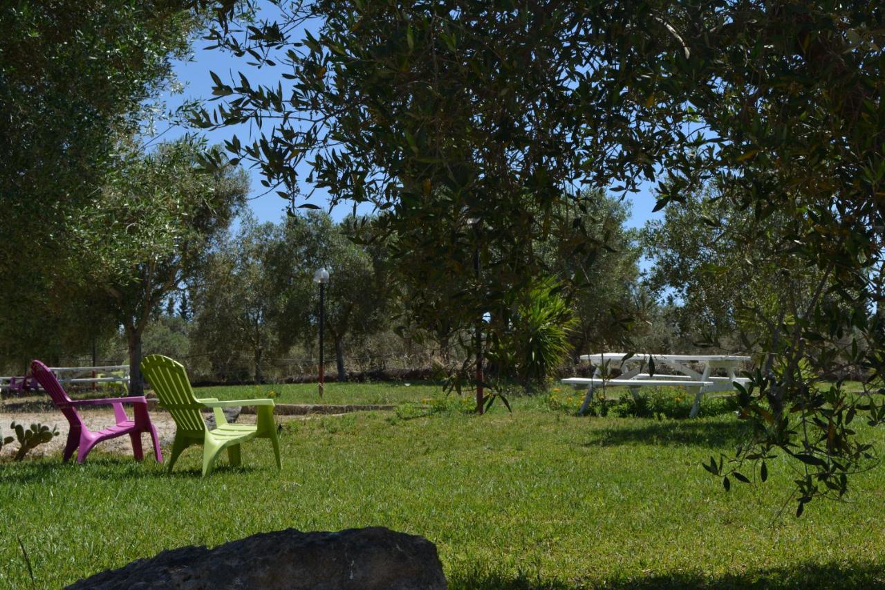 Agriturismo "Terra D'Ulivi" photo 2
