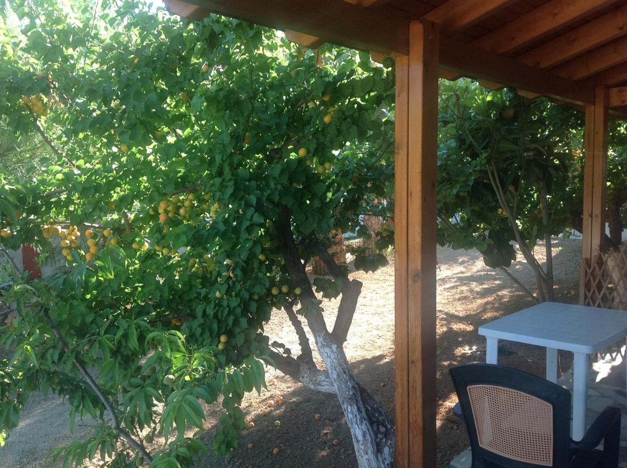 Photo - Hotel Petras Beach