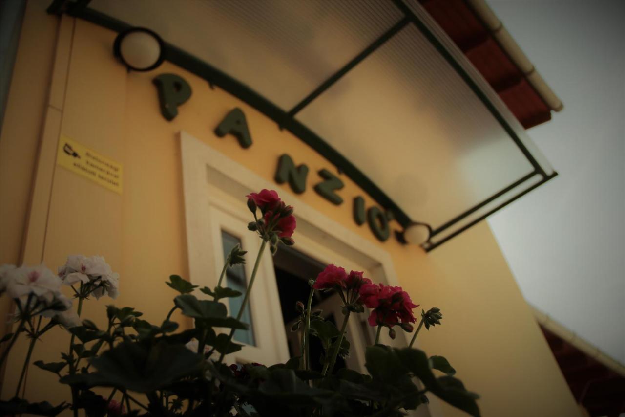 Halász Airport Panzio - 3