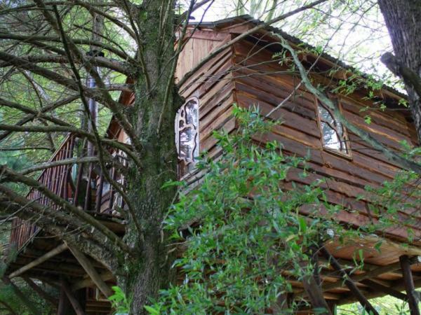 Sycamore Avenue Treehouses & Cottages Accommodation photo 4