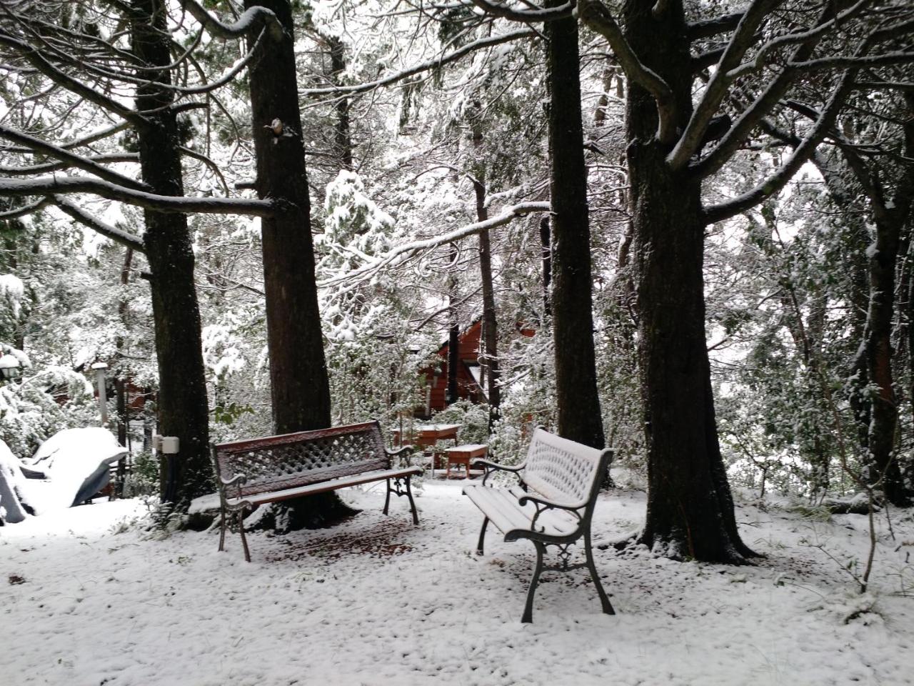 Calen-Hue photo 2