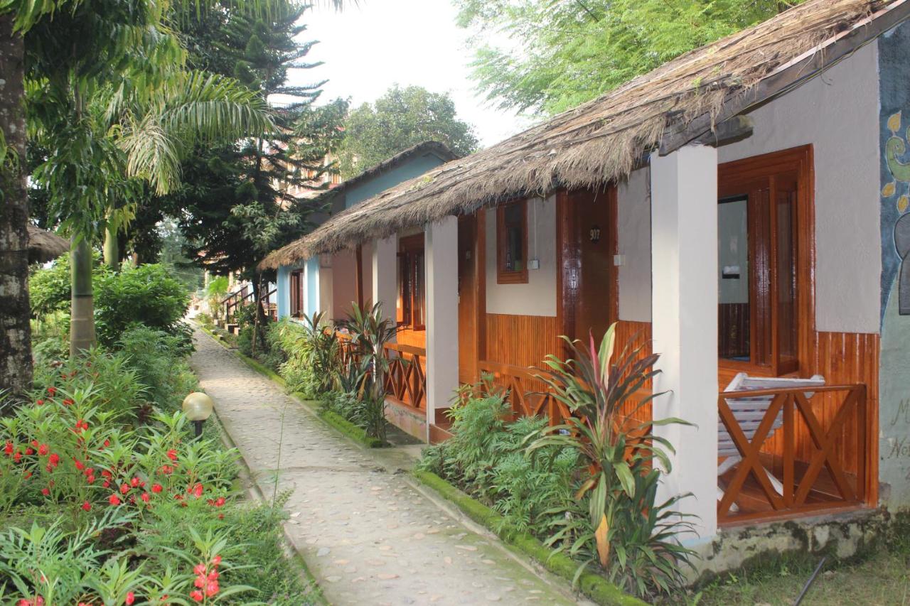Chitwan Forest Resort with swimming pool , Chitwan National Park photo 3