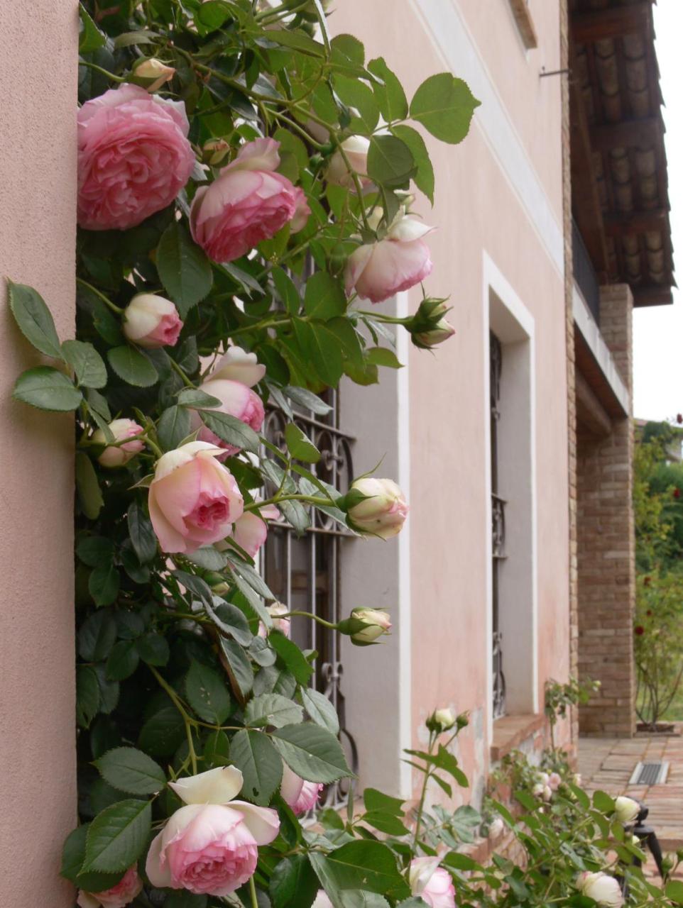 Photo - Casa Isabella