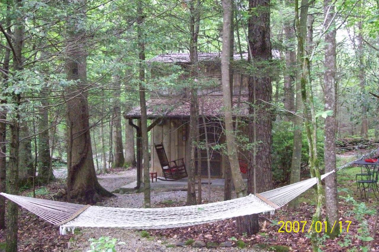 Garden of Eden Cabins photo 4