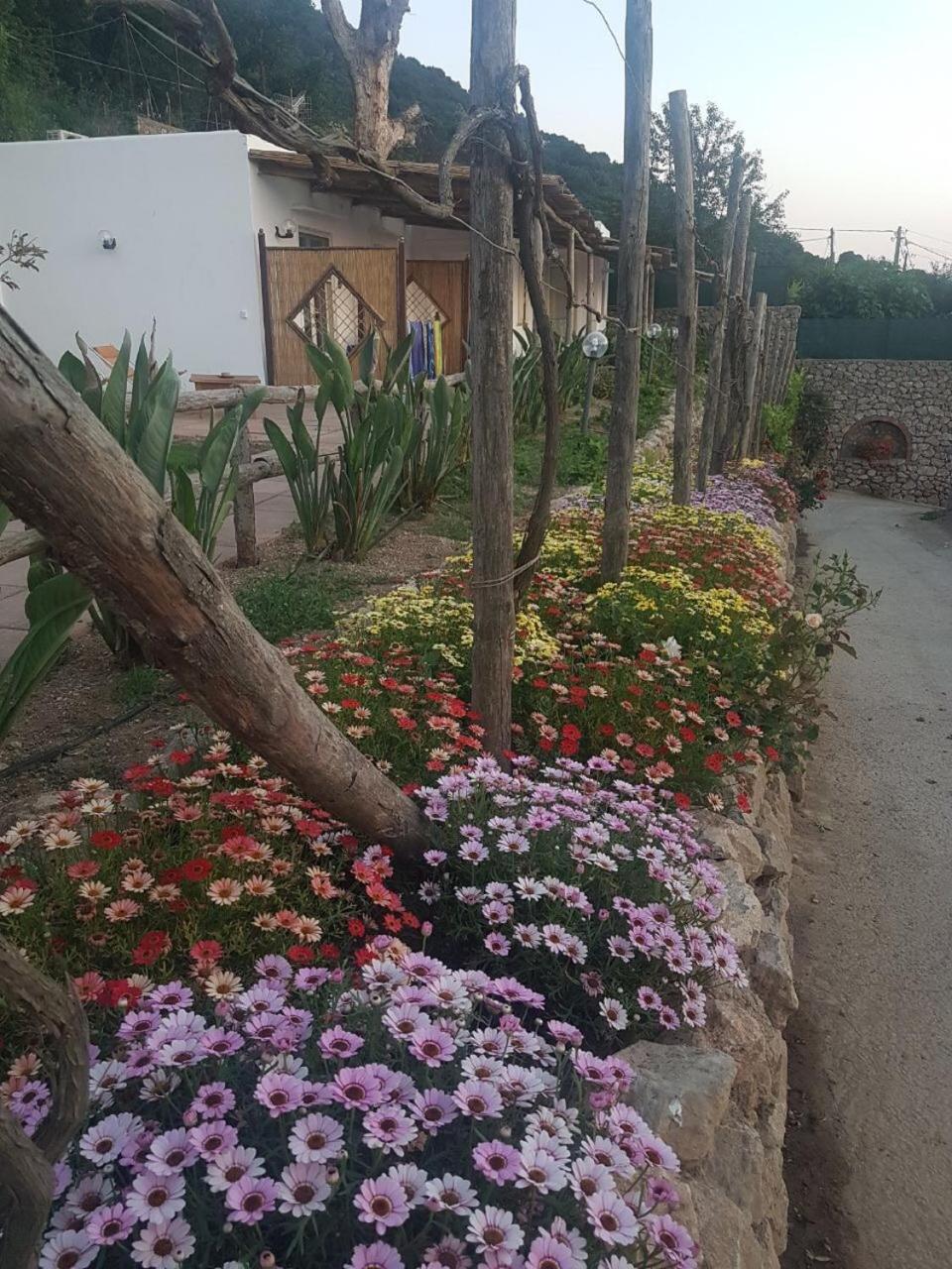 Agriturismo del Sole photo 3