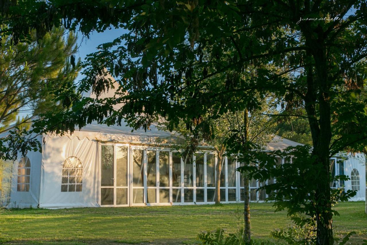 Ardea Purpurea Hotel Lodge & Restaurant photo 3