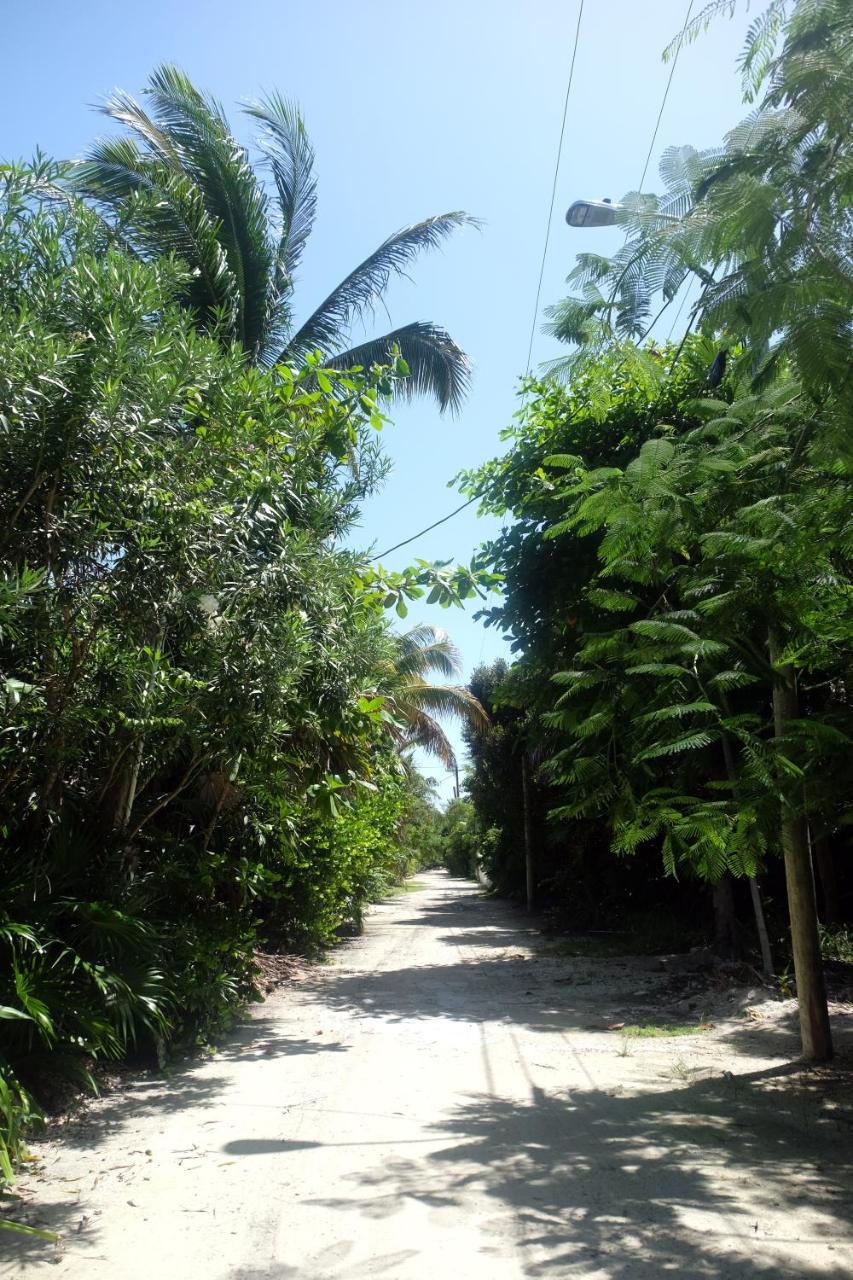 Jungle Cocoon Boutique Hotel photo 4