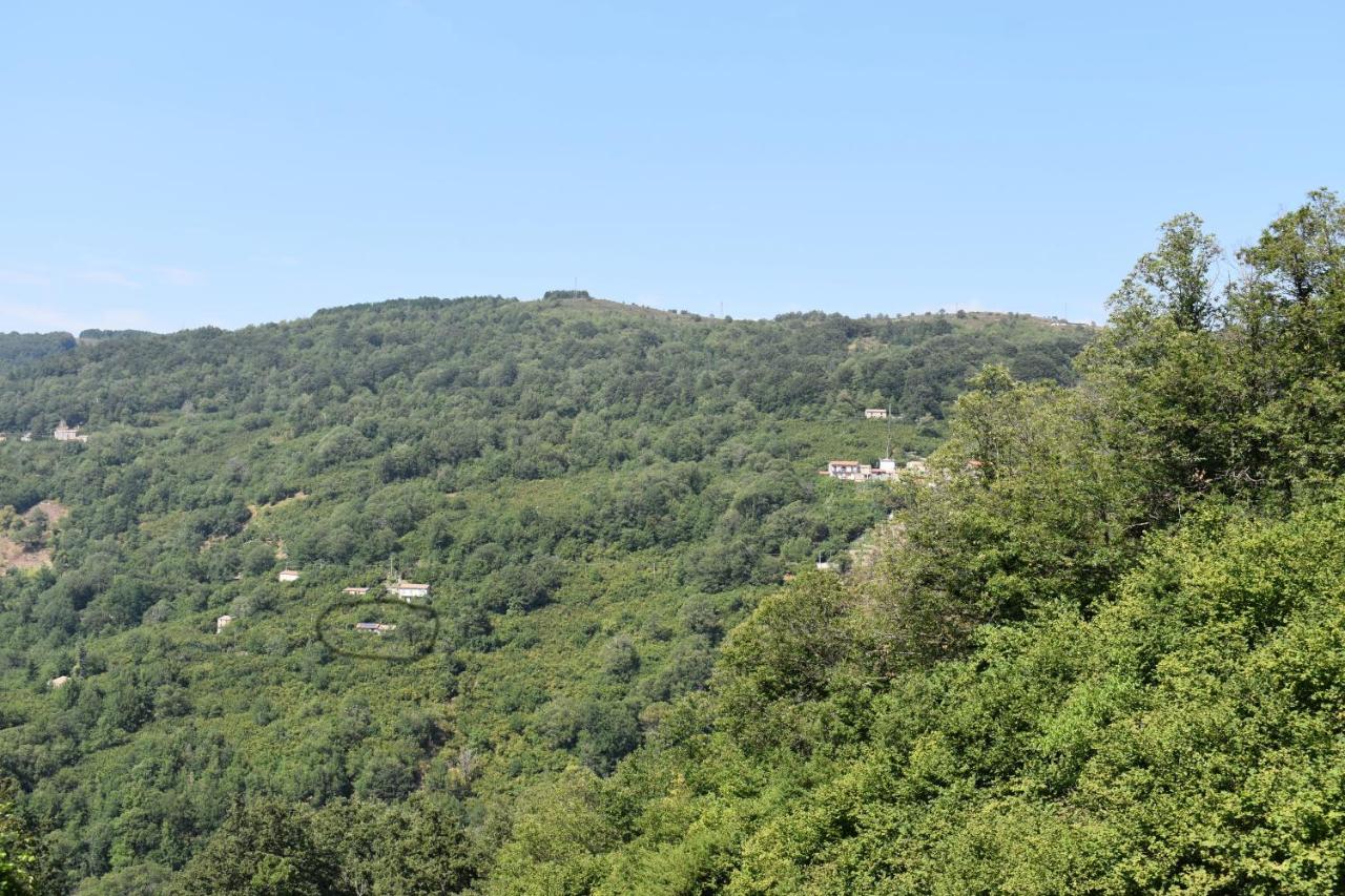 Agriturismo Fontanapietra photo 3