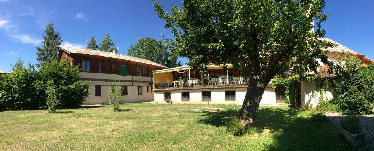 Le Vieux Tilleul - 3