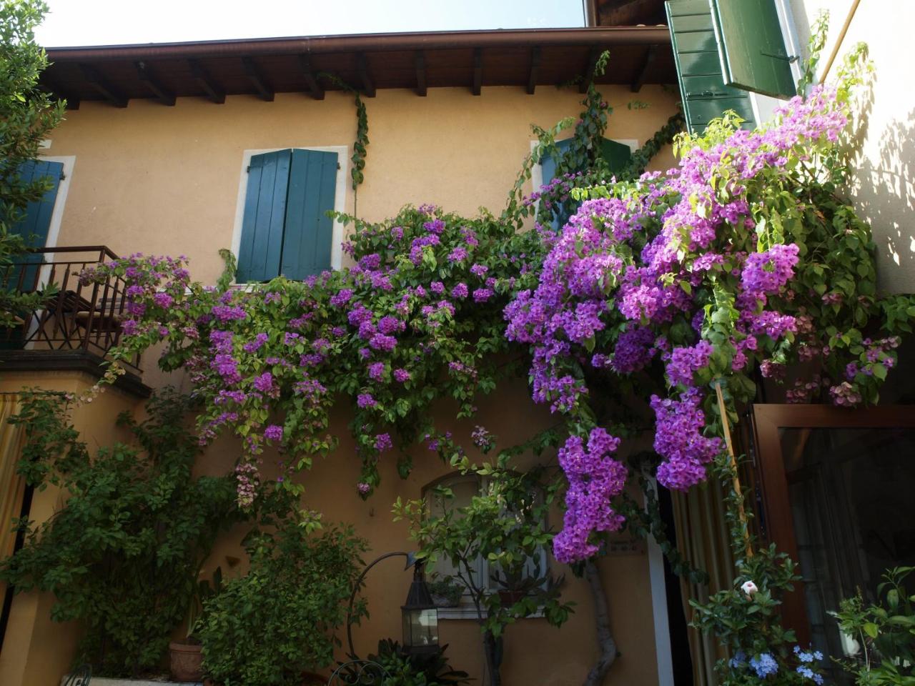 Hotel San Filis
